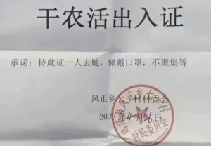 邯郸一村子发放“干农活出入证”？村委会：属实，基于村子实际情况考虑